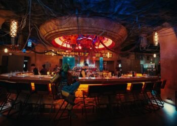 Panoramas de invierno y mucho más: las mejores actividades para disfrutar la temporada